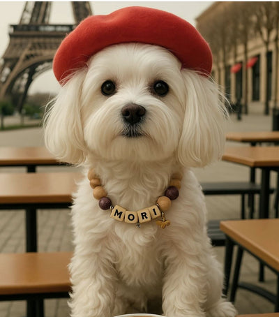 maltese_themori